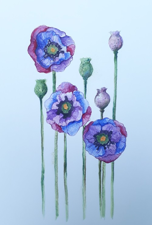 The Flower