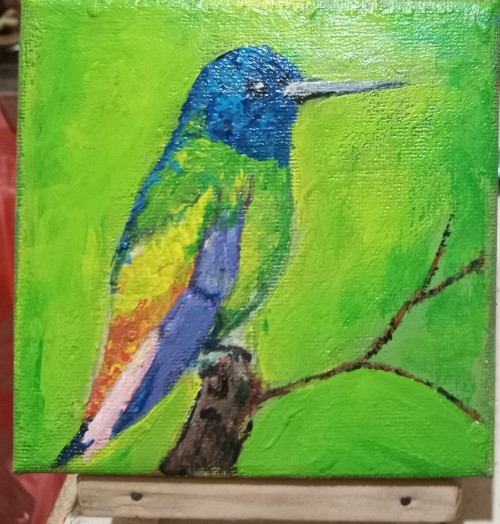 Colorful Bird