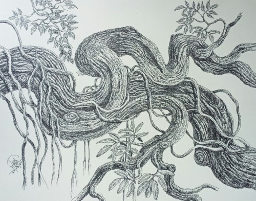 A Tree Branch
