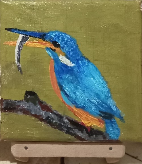 Sri Lankan Kingfisher