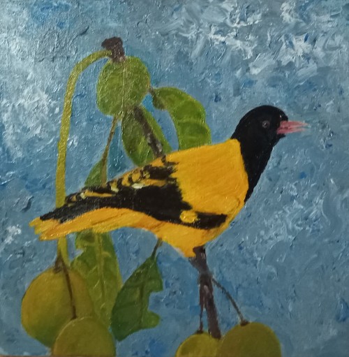 The Black-Hooded Oriole- Hantana