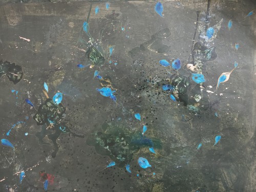 A Petal Rain