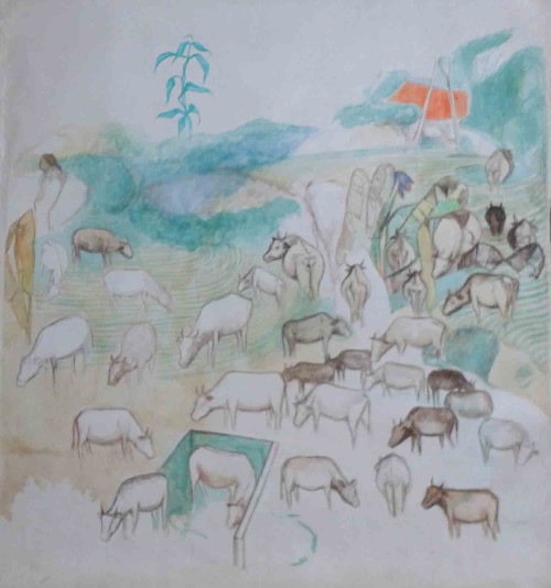Paddy Fields On The Mountain