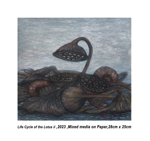 Life Cycle Of The Lotus Ii