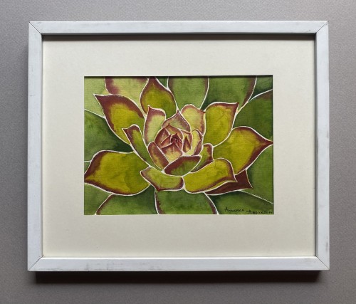 Rhythm Of Nature-Succulent Plant