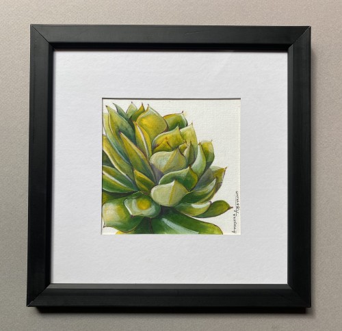Rhythm Of Nature-Succulent Plant