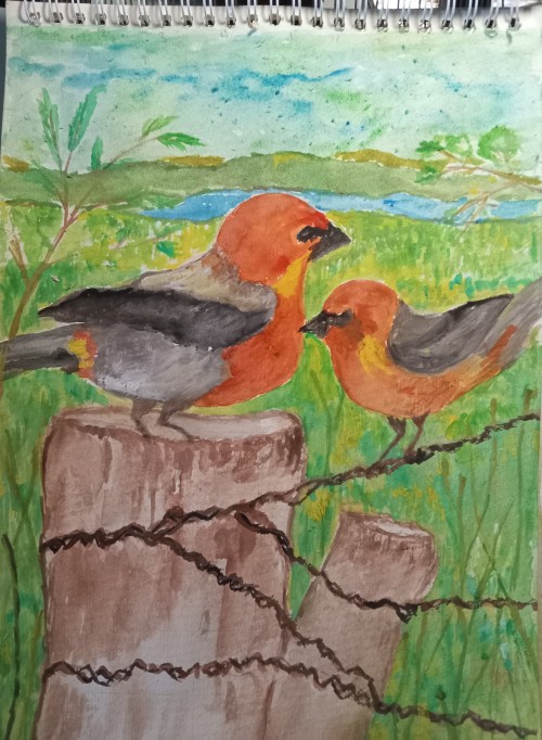 Pair Of Color Ful Birds