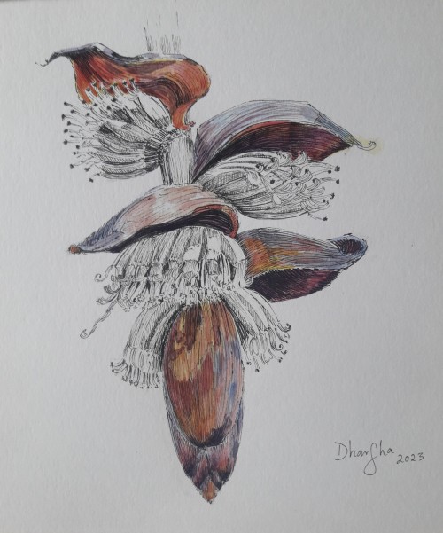 The Banana Flower