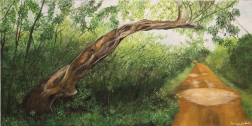 Wilpathu Tree