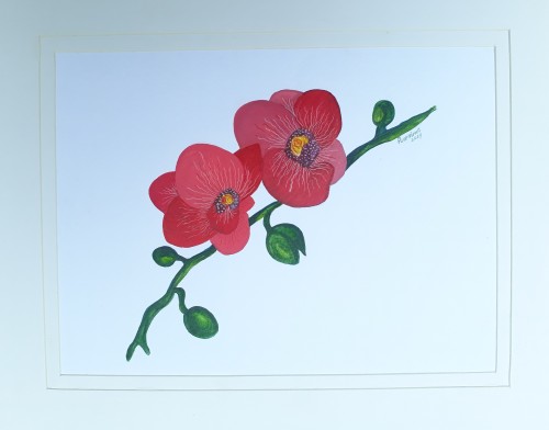 The Flower - 02