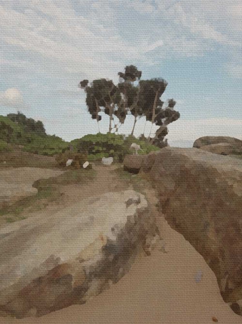 Earth, Wood, Air. The Elements
