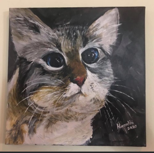 Cuddley Bubble