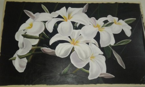 Araliya Flowers