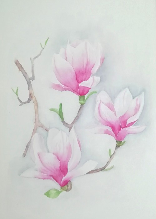 Beauty Of The Nature