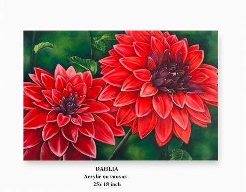 Dahlia Flowers