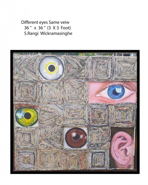 Different Eyes Same View