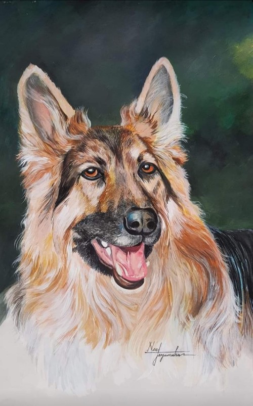 Dog