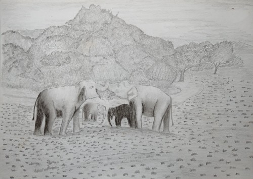 Elephant Tussle