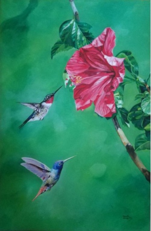 Humming Birds