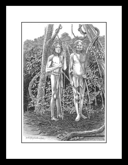 Indigenous Community