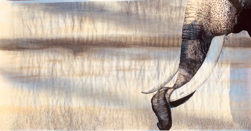 Ivory Is Not Art