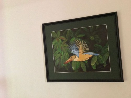 Kingfisher In Action - Sri Lanka