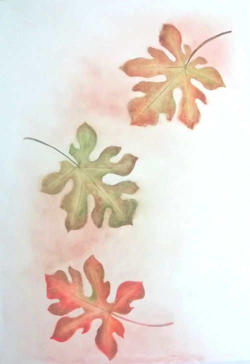 Leaves