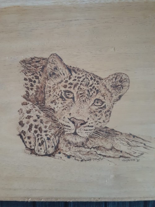 Leopard At Rest