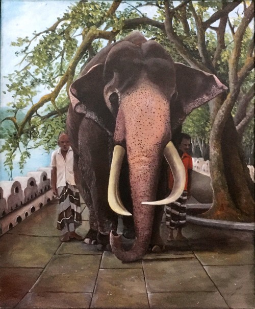 Nadungamuwe Hasthi Raja