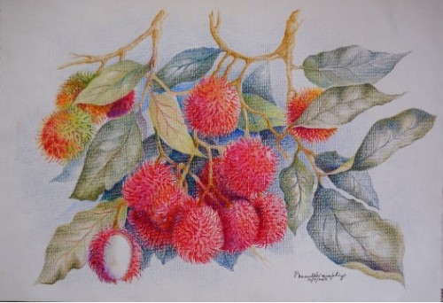 Rambutan