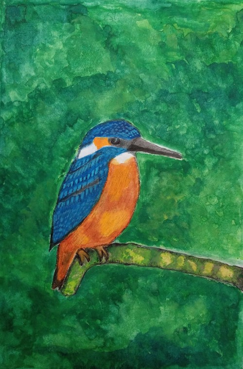 Resting Kingfisher