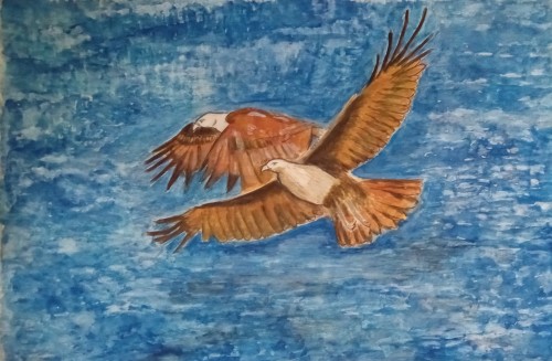 Soaring Freely