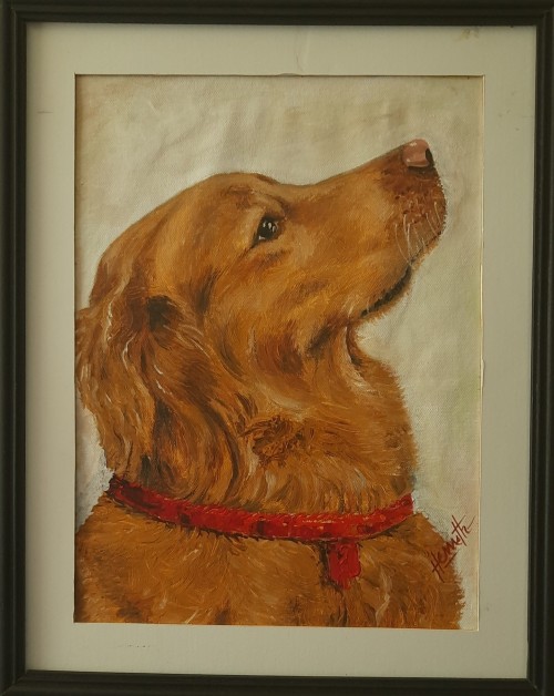 The Dog