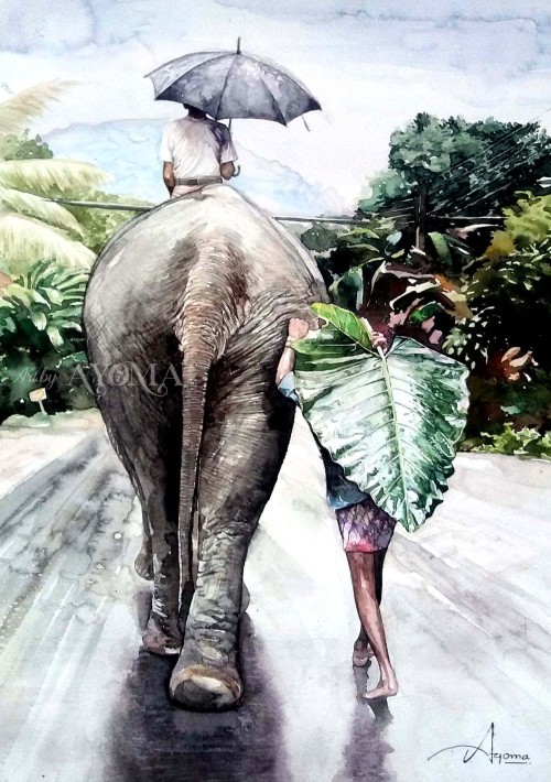 The Elephant And The Rain.