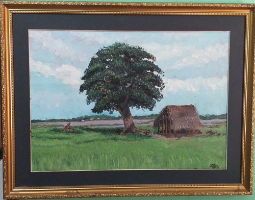 Tree And Shelter