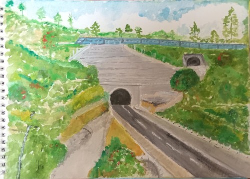 Tunnel At Kotagala