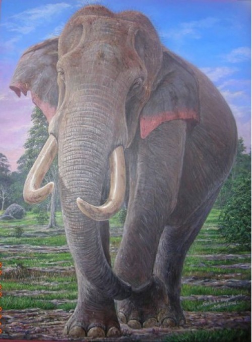 Tusker