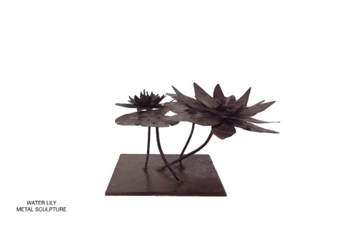 Water Lily