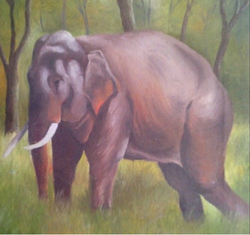 Wild Life